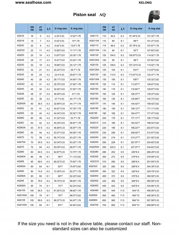 PTFE / NBR Bidirectional Piston Seal Kit For Piston Accumulators Support Cylinders And Positioning Cylinders 1