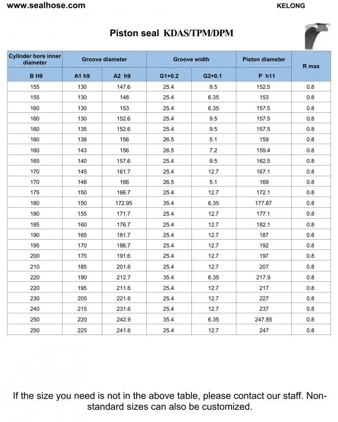 Black 80Mpa POM NBR Ok Compact Piston Seal For Excavator 3