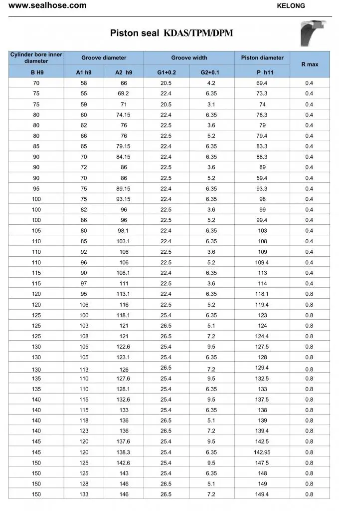 Black 80Mpa POM NBR Ok Compact Piston Seal For Excavator 2